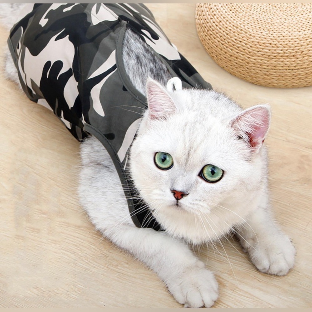 Cat Recovery Suit Full Coverage Cat Clothes Wound Protection for Puppy Cats med